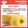 Jingxiansheng Shandong Venus apple net weight 4.5 catties single fruit 200g fresh fruit direct from the source with free shipping
