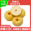 Jingxiansheng Shandong Venus apple net weight 4.5 catties single fruit 200g fresh fruit direct from the source with free shipping