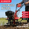 Shennong micro tillage machine, small agricultural gasoline rotary tiller, Zongshen power tiller, weeding and trenching tillage machine, land turner, special for paddy fields, Zongshen 170, 8 rows of loosening wheels + walking wheels + rake paddy field wheels