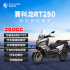 Secoron RT250 Urban Intelligent Control Sports Scooter Polar Gray Intelligent Edition
