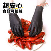 Blue sail+ hand care disposable polymeric nitrile gloves for food contact dishwashing thickened and durable black large size L size 100 pieces/box