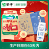 Mengniu Fresh Dates Deluxe Low Fat Pure Milk 250ml 16 boxes Fitness and Fat Loss New Year Gift Box