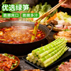 Honka Alpine Green Bamboo Shoots 248g Emerald Green Bamboo Shoots Small Tips and Tender Bamboo Shoots Hot Pot Malatang Ingredients Grown in the Deep Mountains