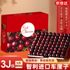 Jingdida Chilean cherries, net weight 5kg, 3J grade imported cherries, Jingdong self-operated fresh fruit, direct from source, free shipping
