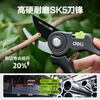 Deli (deli) fruit tree scissors, labor-saving scissors, gardening pruning branch scissors, pruning shears, garden potted flowers, thick branch shears, garden pruning, 8-inch pruning shears