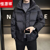 Hengyuanxiang Puff Thickened Down Jacket Men's Winter Stand Collar 2026 New Warm and Coldproof Casual Jacket Bread Jacket Brown M 100-120 Jin
