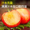 Huaxuan Rainier Golden Cherries 4J grade, next-day delivery to multiple places, large cherry New Year fruit gift box items 4 catties (net weight) Shangchao Fruit 2J grade 28-30mm selection