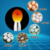 Weiyang egg lighter, egg light, special incubator, egg fertilization flashlight, hatching light, rutin chicken, duck, goose, egg light, aluminum alloy model (with charger + 1 battery), special for hatching/brightness adjustable/cold light irradiation