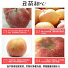 Aksu Apple Xinjiang Aksu Rock Candy Heart Apple Fresh Fruit Apple Red Fuji Gift Recommendation 10 Jin in Box Selected Single Fruit 75-80mm Net Weight 8.5 Jin