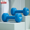 PROIRON impregnated pure iron dumbbells for men and women sports home gym equipment environmentally friendly and odorless set blue 5 pounds one pair