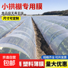 Transparent agricultural plastic film for growing vegetables, small shed film, mulching film, special film for greenhouse planting, plastic paper for heat preservation and cold protection, 4S special film for small shed, 2 meters wide and 20 meters long