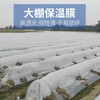Transparent agricultural plastic film for growing vegetables, small shed film, mulching film, special film for greenhouse planting, plastic paper for heat preservation and cold protection, 4S special film for small shed, 2 meters wide and 20 meters long
