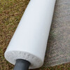Mulch agricultural planting film agricultural materials insulation and moisturizing agricultural film white mulch film plastic film vegetable greenhouse film whole roll 4.8 catties 0.6 meters wide x 610 meters long