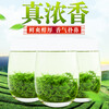 Send Yi a pound of high mountain cloud green tea Maojian 2023 new tea authentic early spring tea bulk extra strong flavor fried green 500g