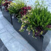 Thickened stainless steel flower box combination outdoor flower pond fence outside rectangular flower pot hotel partition municipal flower trough B type dark gray length 150*width 40*height 50cm
