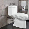 Household flush toilet rear flush wall toilet deodorant silent water saving rear water outlet bathroom bathroom wall toilet + angle valve + hose + raw tape other / other