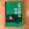 Illustrated guide of common wild birds in Beijing