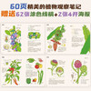 Xiao Che Mama's Fruit and Vegetable Observation Notes for Children (Fruits + Vegetables 2-volume set) is original and high-quality. The book comes with 62 coloring line drawings + 2 large and exquisite posters!