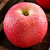 Jingxiansheng Shaanxi Luochuan Apple Red Fuji 12 pieces single fruit 180-220g fresh fruit