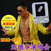 Andy Lau HD Concerts 2002-2013 Concerts HD DVD Video Car USB Disk 16G