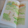 Illustrated Collection of Anno Mitsumasa Anne of Green Gables Japanese artist, world-renowned picture book master Mitsumasa Anno, devoted himself to drawing in his later years Extracurricular reading Reading Extracurricular books 9 years old + children Youth