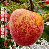 Jingmi Sichuan Daliangshan Ugly Apple, 8 pounds net, single fruit 85mm+, fresh fruit rock candy heart apple, straight from the source