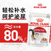Royal Cat Food Adult Cat Wet Food Soft Pack Canned Cat IJP General Food Jelly Aspic 85G*12 Imported