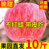 Erdie Shaanxi Red Fuji Apple Fresh Fruit 10 Jin Rock Candy Heart Seasonal Ugly Apple Seasonal Fruit Crisp Sweet Whole Box Selected 9 Jin Pack Net Weight 8.5 Jin 70-75mm