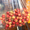 Chile imported golden cherries JJJJ Rainier yellow cherries fresh high-end fruit gift box 500g (net weight) 4J level Big Mac-selected gift box