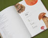 Princeton University Biological Illustrated Fungi (China National Geographic Books, the master of the hidden world, identification of strange organisms. Get close to the hidden fungal family, and perceive the interconnected relationship between life on earth. Free 4 fungi science postcards)