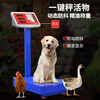 Yongcai (YONGCAI) weighing electronic scale, commercial scale, high-precision electronic scale, rechargeable platform scale, household foldable scale, stall business scale, vegetable selling price counting scale, express scale, industrial scale, 100 kg 30*40 general key LCD black characters, no installation needed