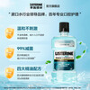 Listerine Essential Oil Mouthwash Ice Blue Zero Mild Fresh Breath Reduces Oral Bacteria 500ml