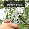 Piers pruning shears imported from Japan SK5 steel scissors for gardening and horticulture, strong flower shears for thick branches of fruit trees, floral scissors V1 - red, gray, white head and white blade - pruning shears