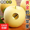 Dalian Golden Cream Fuji Apple Special Grade Authentic Seasonal Fruit White Fresh Season Picked Full Box Full Box 5 Jin 80-85mm