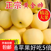Marshal Huang Apple, Yellow Banana, Apple Powder, Glutinous and Sweet, Freshly Picked Fruit for Baby and the Elderly, 9 Jin Pack, 4.5-5 Jin Pack, 85mm-90mm