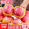 Crisp and sweet red Fuji apples, Shandong Yantai Qixia ugly apples, fresh fruit, whole box, 9-10 catties in box, sweet and medium-sized fruit