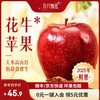 Oriental Selection Huaniu Apple Crispy Noodles Sweet Fresh Seasonal Fruit Bad Fruit Package Compensation SF Express 3/5 Jin New Year Goods 5 Jin Large Fruit 1 Box Packed Single Fruit 220+ (7-11 pieces/box available)
