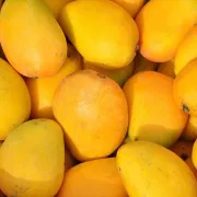 Hainan Sanya Xiaotai Nong Mango FCL Venta al por mayor Fruta fresca de temporada Mango Xiaotaimango Concubine Yumang Paquete de degustación [Fruta neta 2 kg] Mini [30-50 g] Extra pequeño