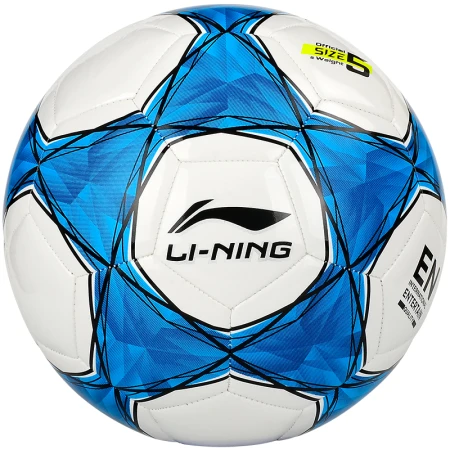 Li Ning LI-NING football No. 5 adult children's men's and women's competition examination World Cup professional training soft leather high school entrance examination ball 039-2