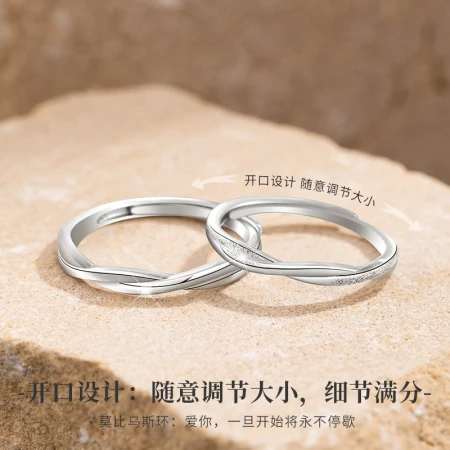 Molan Mobius ring pure silver couple rings A pair of rings for boys and girls Birthday Valentine's Day 520 gift for girlfriend Mobius--Endless love rings