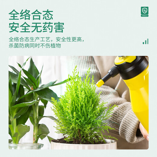 Stanley mancozeb fungicide orchid succulent rose powdery mildew black spot plant soil medicine 100g plant sterilization | first experience