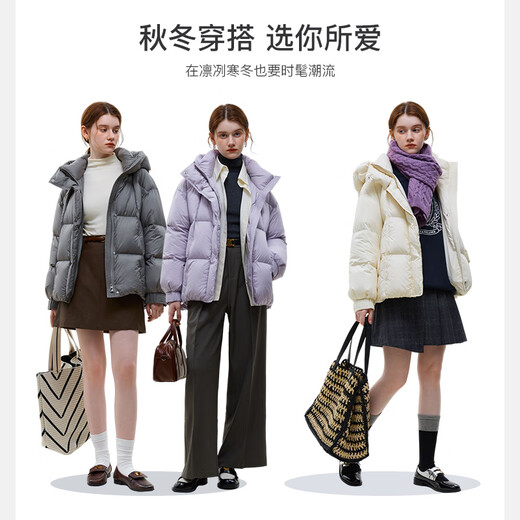 范思蓝恩23FS14128摩登都市连帽短款羽绒服女新款冬季面包服 淡雾紫 M