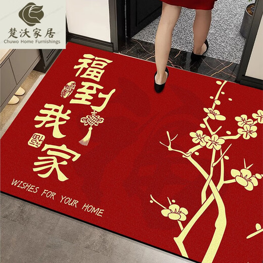 Porte d'entrée Mat d'étage Entrée de pied Mat à pied Entrée de porte rouge tapis de porte rouge ménage tapis tapis tapis anti-glissement