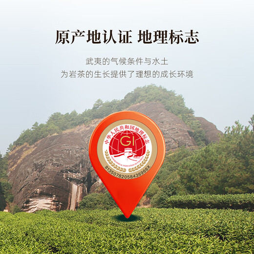 七春 茶叶武夷山岩茶乌龙茶大红袍肉桂四大岩茶浓香型乌龙茶组合500g