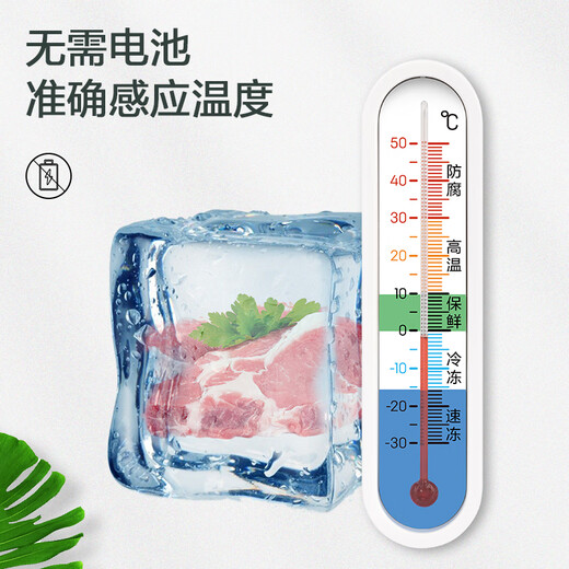 得力(deli)家用冰箱超市冰柜温度计婴儿老人儿童药店冷冻库保温箱冷藏柜测量计LE554