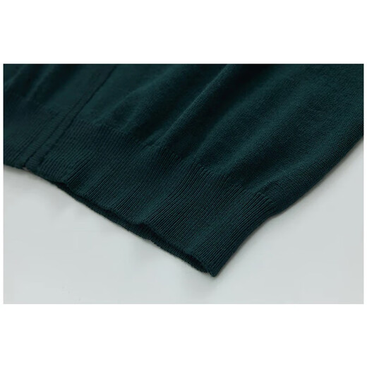 [Jijia] Winter warm and thick 100% pure wool cardigan men's zipper knit sweater jacket Green 175/L
