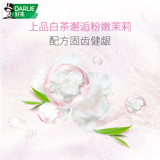 好来(原黑人)茶倍健茉莉白茶牙膏清新口气健齿护龈减轻口气140g