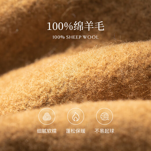 Siggi Wool Beret Women's Autumn and Winter Solid Color Fashion Versatile Korean Painter Hat Retro Bere Hat Mocha