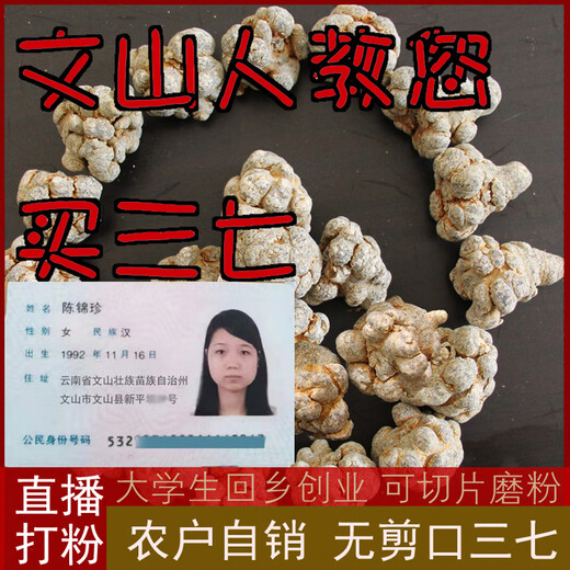Quanyan Yunnan Wenshan Sanqi No Cutout Authentic printemps 18 têtes 20 têtes 30 têtes Tianqi Powder 500g 14 têtes 14 têtes 14 Pas de découpe [500] G