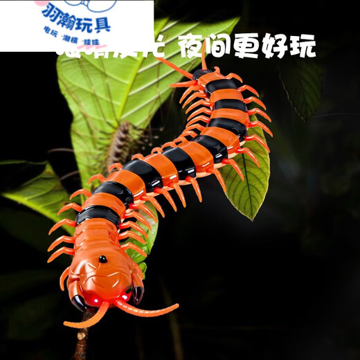 
Feidule children's electric remote control spider toy crawling simulation small animals 4-6 years old boy and girl yellow and black remote control centipede 9901+ screwdriver official